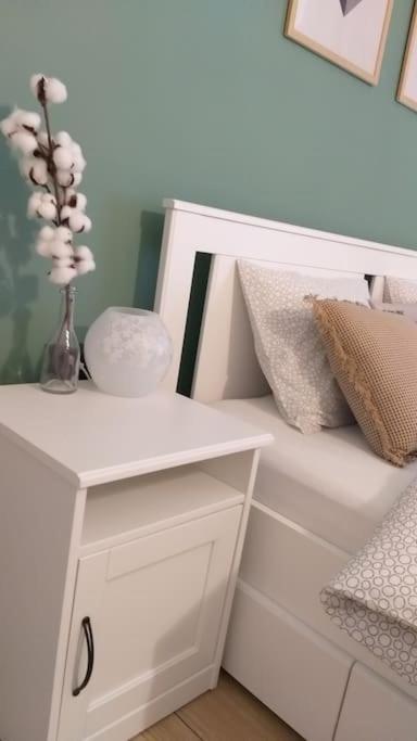 White Brick Apartment 萨格勒布 外观 照片
