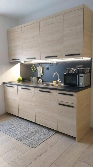 White Brick Apartment 萨格勒布 外观 照片